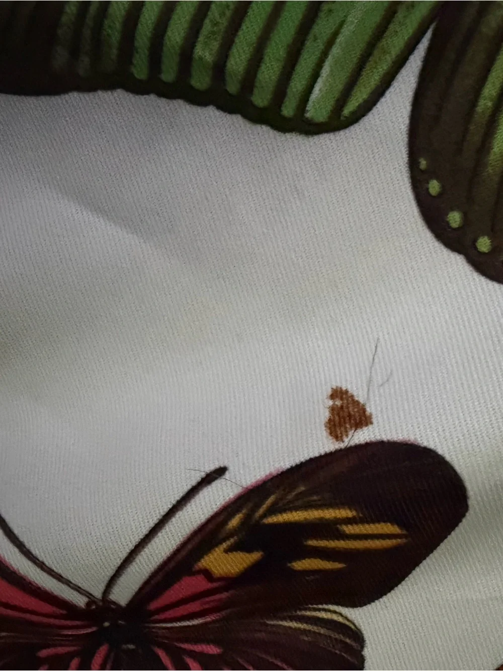 Butterfly Print Poly Scarf in Cream, Green & Purple